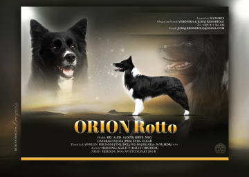 Orion Rotto