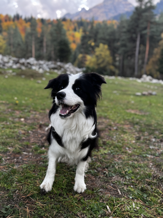 Breeze Of Hills s Gory Mezmay