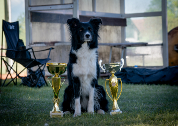 Aymee Derby Vesely ocas
