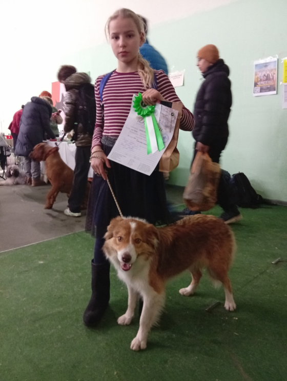 Apriori Luxury Bright Sun