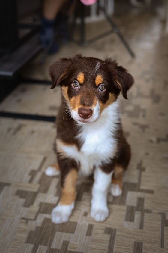 Moray Eel For Alive Love