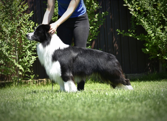 LeClway Europe's Legacy