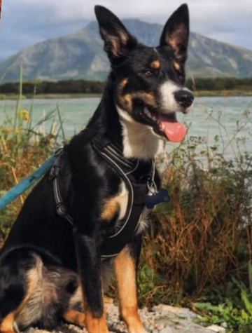 Niko Z Hrubej Siklawy