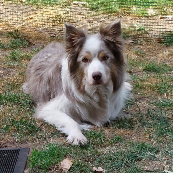 Nice Of You To Come Bye Purple Rain