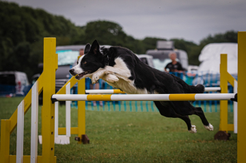 Mendipstar Suited N'Booted