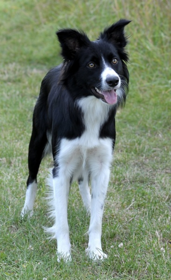 Wannahave Fun Twenty Four Seven