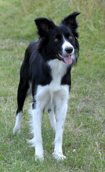 Wannahave Fun Twenty Four Seven