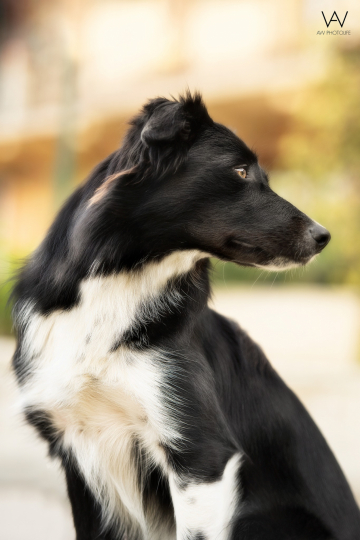 Malefica dei Matiblu