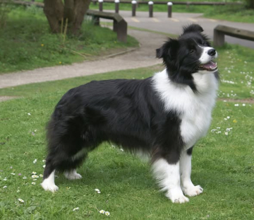 Fayken Indecent Proposal