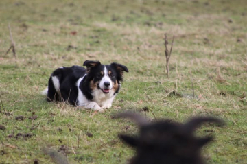 Floss