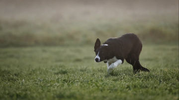 Shine Brighter Than The Stars