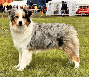 Due Parchi In Bocca Al Lupo