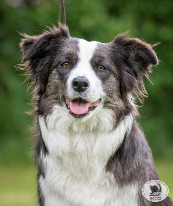 Annie From Gryffindo Ranc u palirny