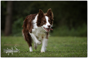 Dyani Dina Calista Paradise