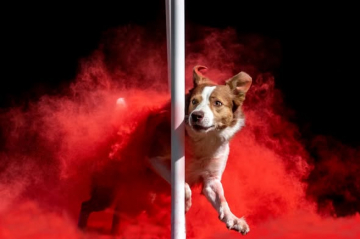 Nyx Inferno From Haileys Eyes