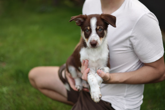 Accelerated Missile No Time to Wait