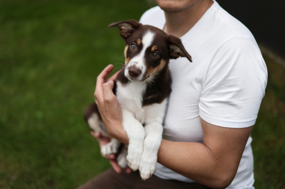 Absolute Madness No Time to Wait