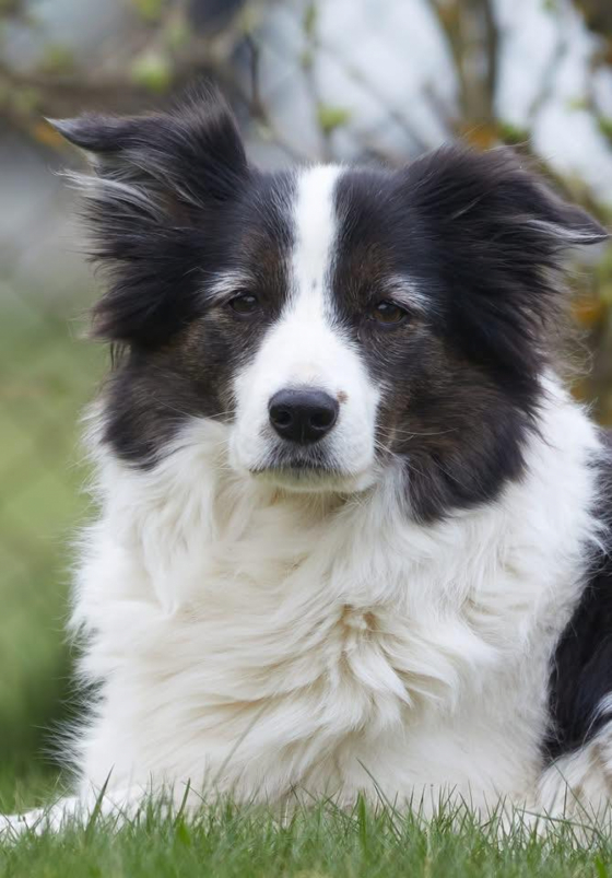 Nice Of You To Come Bye Watch My Back