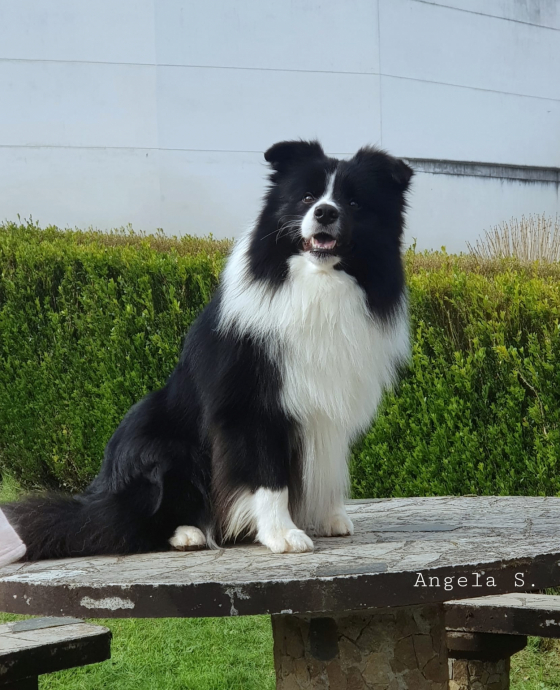 Wild Storm Keep Yourself Alive