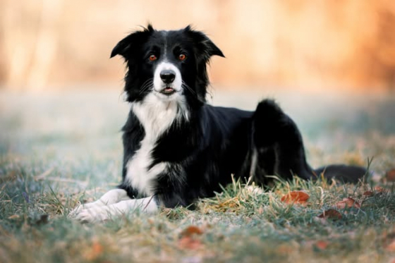 Darker Than Dark Ones Cup Of Jam