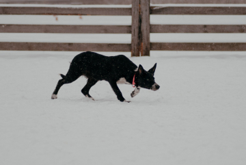 Nafani Are You Ready