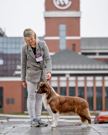 Argument Show Assorty'K