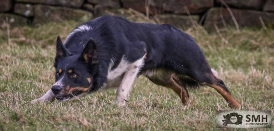 Dunelle Billy