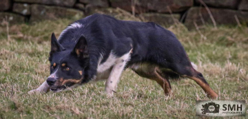 Dunelle Billy