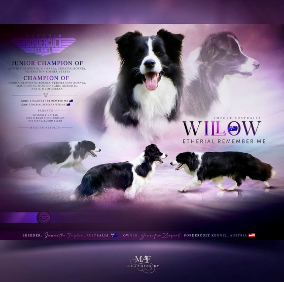 Etherial Remember Me