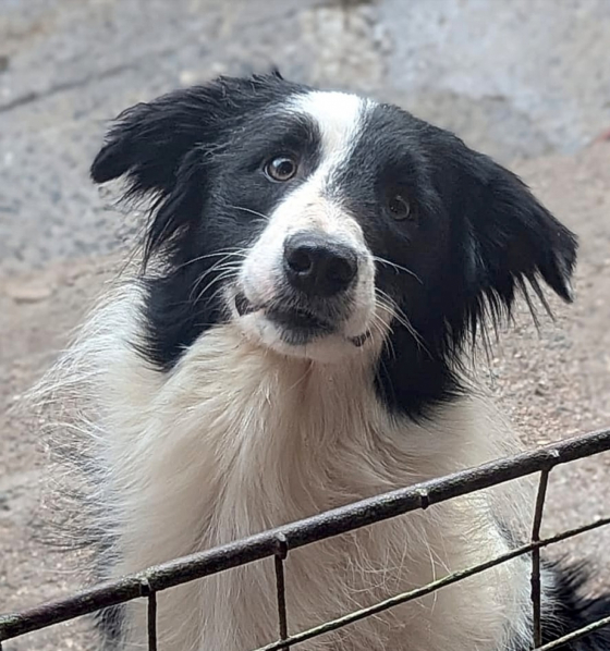 Fantasy Real Miracle