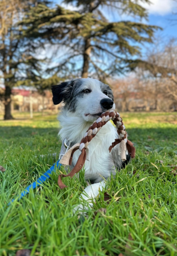 Fantastic Gift Of Life