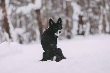 Zillion Reasons To Be Happy