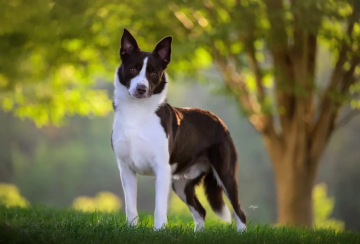 Grandam People Are People