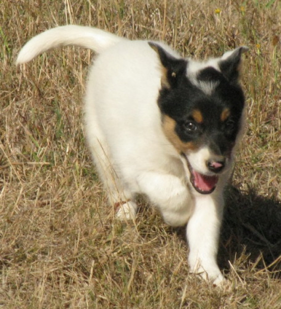 Backbeach Dreams are Free