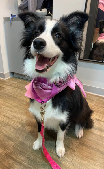 Demiart Ria Starring Myself