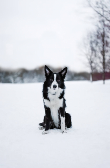 Realidad que Queria Crear