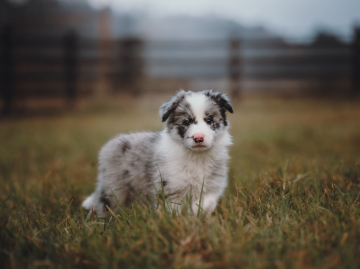 Rutagor Tornado Nad Vodoy