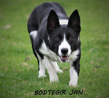 Bodtegir Jan