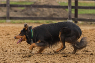 Luna Tale Raise me Up Cosmos