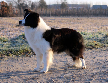 Mystic Realms Xplosive Heart Of The Vulcano