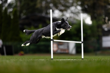 Never Never Land H'Kylo Ren