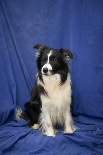 Family Keeper Braynu