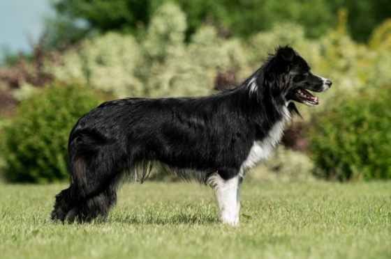 Charmed by Life z Cernobilych