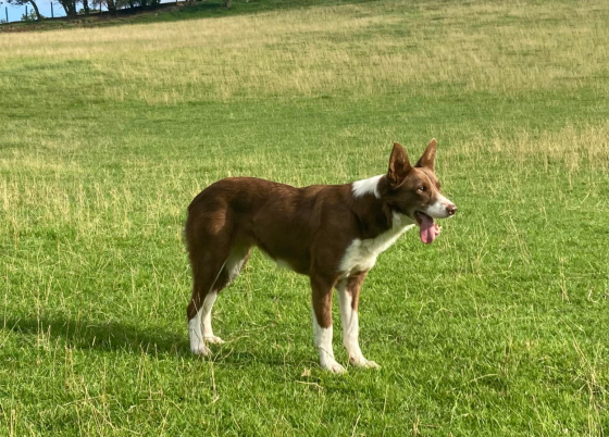 Gwen