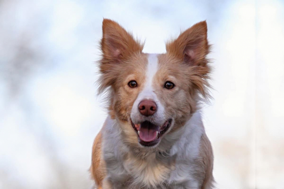 Nice of you to Come Bye Twice as Nice