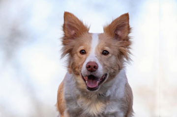 Nice of you to Come Bye Twice as Nice