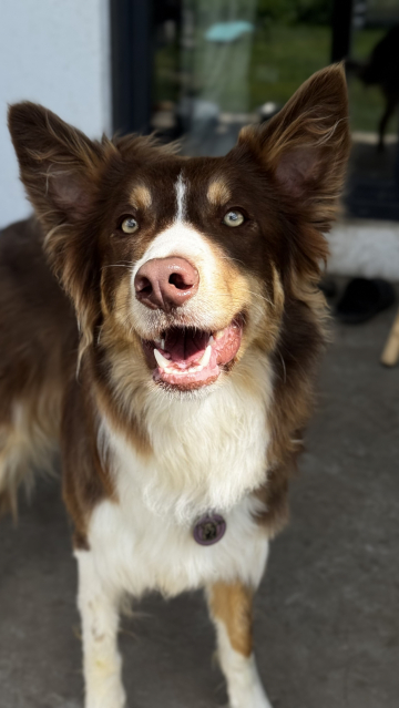 Nafani Shchas Vso Budet