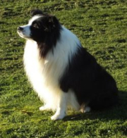 Glen Clova Pathfinder