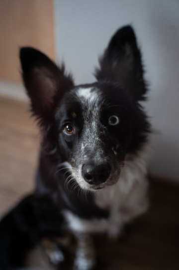 Never Gonna Let You Down