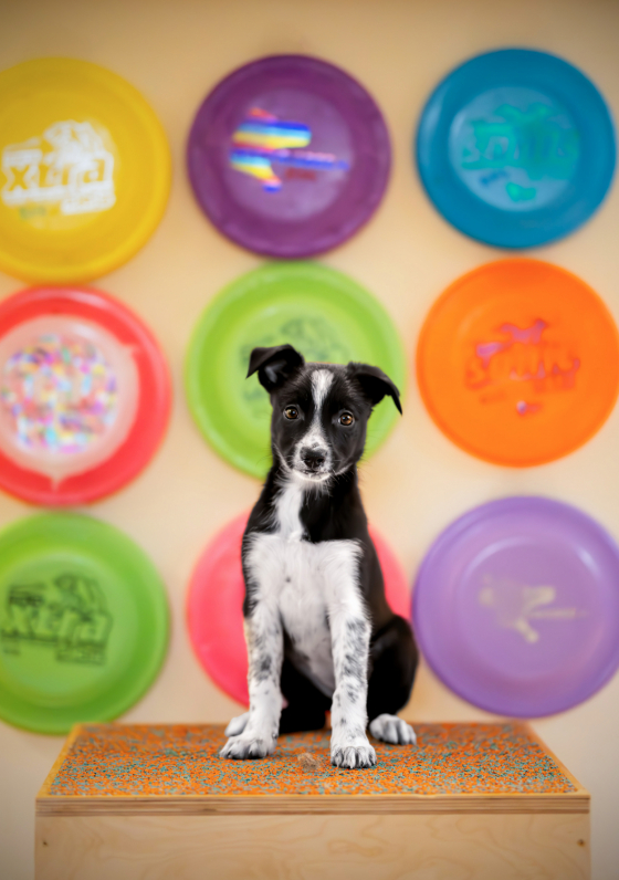 You Are The Whisper From The Sea Touched My Soul And Came To Spark My Mind